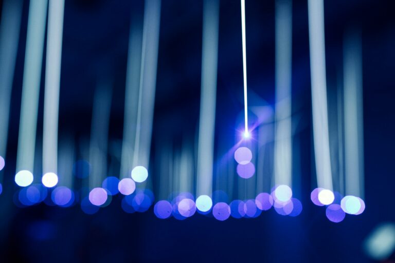 mimicry-hu-5RgShZblKAQ-unsplash