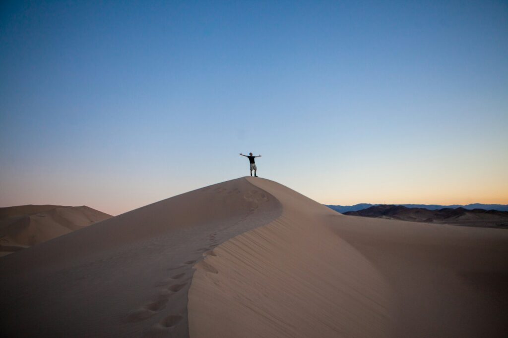 Photo by Omar Prestwich on Unsplash